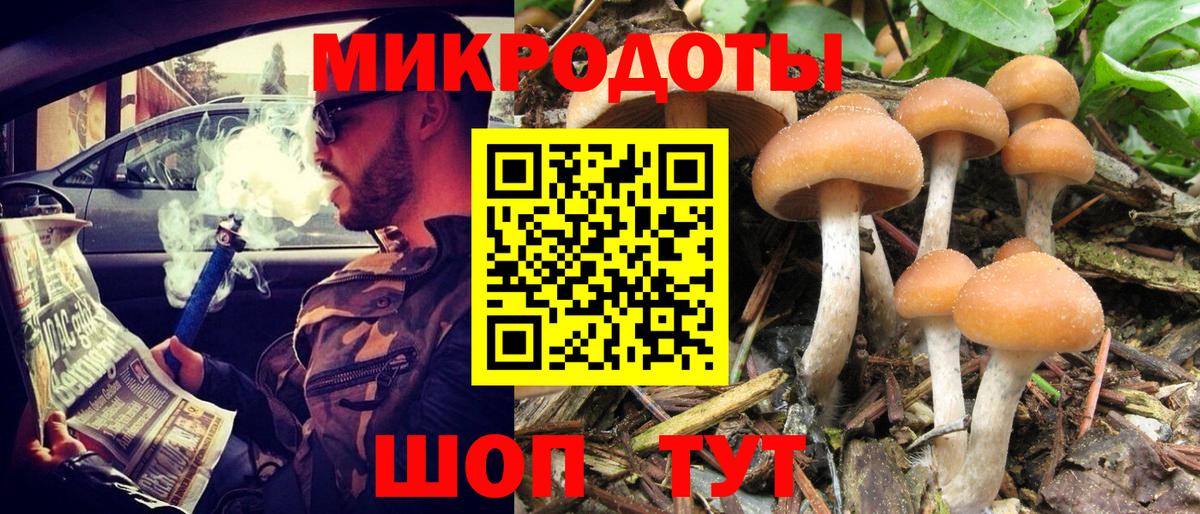 Псилоцибиновые грибы MAGIC MUSHROOMS Вязьма